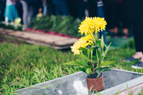 Yellow,Chrysanthemum,Flowers,Placed,On,The,Gravestone.,Selective,Focus.