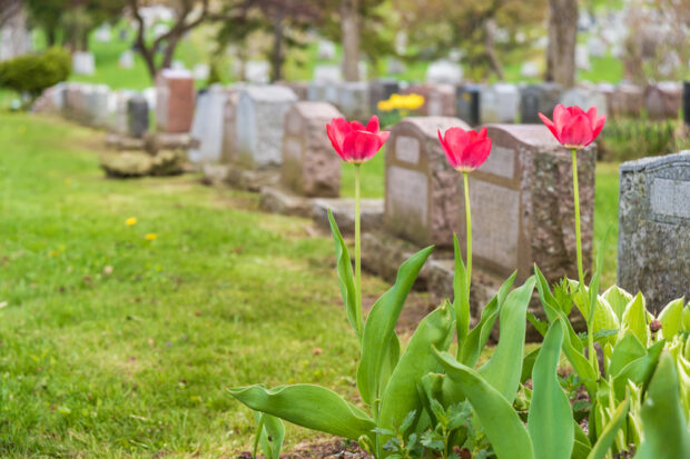 Spring Cemetery Preparation: When to Repair, Clean, or Replace a Headstone